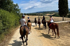 Tuscany Horseback Ride: in Leonardo da Vinci’s Land Lunch & Wine