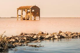 Photographic excursion by boat on the Po Delta