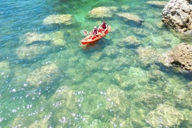 Kayak Experience with a Local