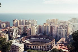 Málaga arquitectónica: tour privado con un experto local