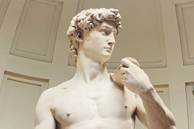 Florence: Fast Track Tickets for the Accademia Gallery 