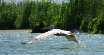 4 Days in the Heart of Danube Delta