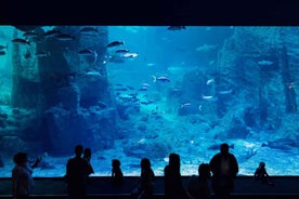 Istanbul: Aquarium Ticket with Shuttle Bus from Sultanahmet