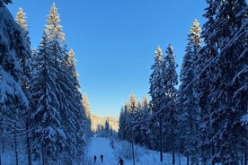 Ski de fond avec « Kos » au coin du feu