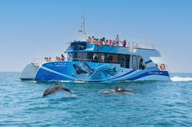 Cruzeiro de meio dia com observação de golfinhos saindo de Lagos