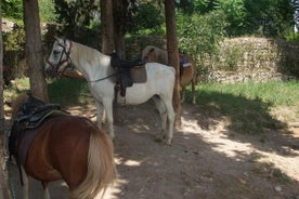 Expérience d'équitation romaine antique