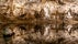 Photo of Stalactite decoration of Punkva Caves, Czech republic.