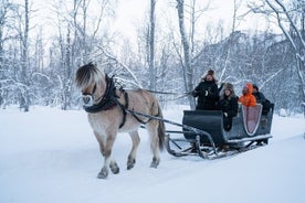 Paseo en trineo con bocadillos: experimente la vida en la granja ártica