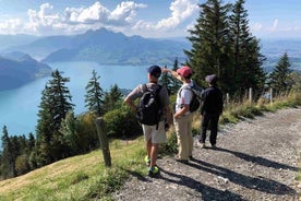 Caminata guiada privada en el monte. Rigi con visita a la granja y barbacoa