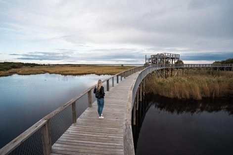 Photo of tourist on Pärnu Coastal Meadow Hiking Trail, Estonia.