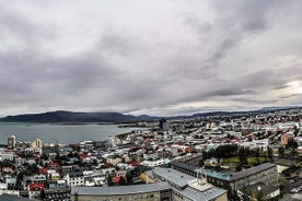 Helikoptertur: Reykjavik City med landing ved Mount Esja