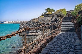 Lanzarote 남부 프라이빗 럭셔리 종일 투어: 호텔 또는 크루즈 항구 픽업