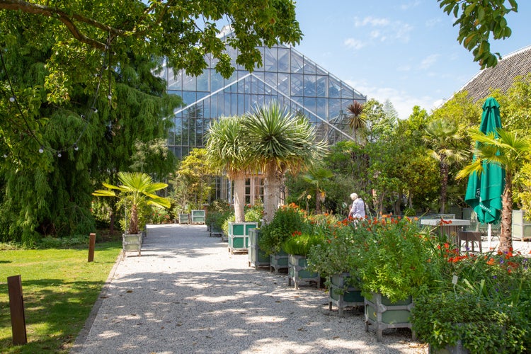 photo of Greenhouse of the Hortus botanicus in Leiden. It is the oldest botanical garden in the Netherlands and was founded in 1590.