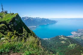 Montreux to Rochers-de-Naye: Alpine Adventure Ticket