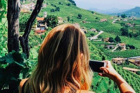 Un día brillante en Prosecco Hills: desde Venecia