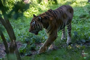 Zoo Schwerin