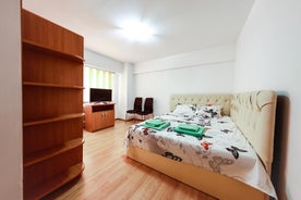 Luxury Radox Apartment Buzau City Center