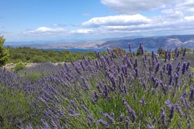 Hvar Lavendel Tour