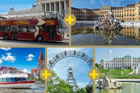 Best of Vienna Pass: Schönbrunn Palace, Danube Cruise, Big Bus...