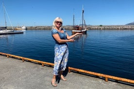 Alesund Private Excursion Viking`s islands