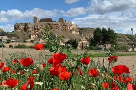 excursão gastronômica de 3 dias e amantes da natureza; Aldeia Medieval perto de Madrid