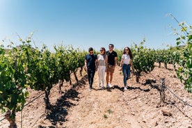 Tour di Ronda ed esperienza in cantina con degustazione di vini da Malaga