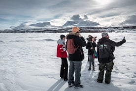 Randonnée matinale dans le parc national d'Abisko