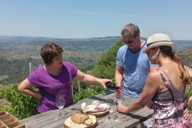 Weintour PRIORAT: Besuchen Sie 2 Top-Weingüter, Weinprobe & Gourmet-Mittagessen