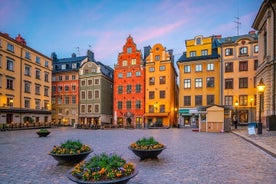 Eco Bike Tour of Stockholm Old Town, Djurgarden, Nature