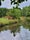 Haughton Dale Nature Reserve, Tameside, Greater Manchester, North West England, England, United Kingdom