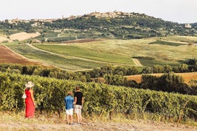 モンテプルチャーノにあるVino Nobile Wine Tour