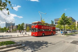 Combinazione essenziale ad Amburgo: tour Hop-On Hop-Off, crociera e lago Alster