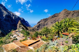 Tour guidato di un'intera giornata in autobus al Monte Teide e alle città di Icod, Garachico, Masca