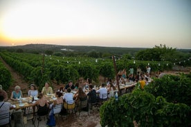 Spazieren Sie durch den Weinberg und Weinprobe