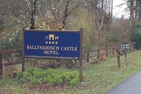 Ballynahinch Castle to Shannon Airport Premium Car Service