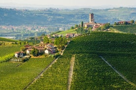 Tour privado de bicicleta elétrica "Langhe del Barbaresco" - apenas asfalto