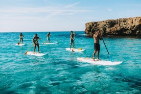 Snorkeling guiado e experiência de stand up em Menorca