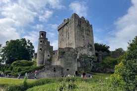 Privat rundvisning i Blarney Castle, Jameson Distillery og Cobh