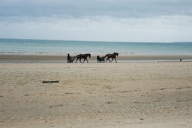 Private Day Tour including Normandy Landing Beaches & Battlefields from Bayeux