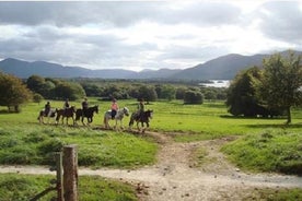 Giro a cavallo del parco nazionale di Killarney. Co Kerry. Guidato. 1 ora.