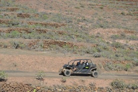 4-seater Mixed 2-hour Guided Buggy Volcano Tour in Lanzarote