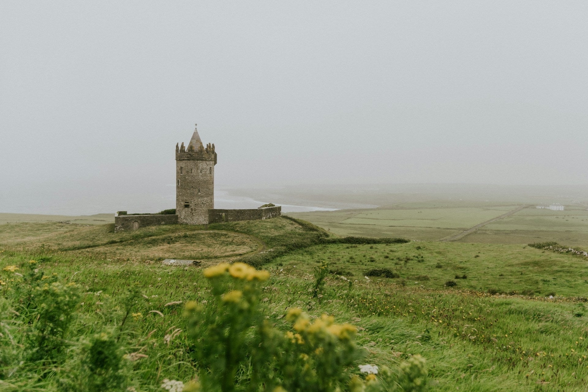 ireland-in-july-2.jpg