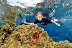 Snorkling - med båt på plats i bukten i Cannes eller Estérel