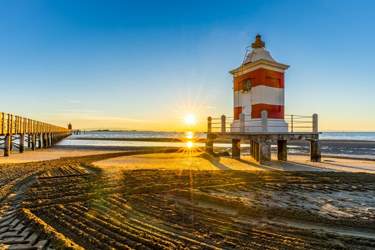 great pictures from lignano pineta and lignano sabbiadoro, Udine; Friuli Venezia Giulia, Italy, Adriatic see