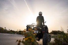 Excursion d'une demi-journée en quad à Gozo