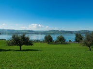 Minivan rental in Sursee, Switzerland