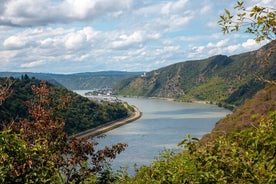 Visite privée des vins de la vallée du Rhin au départ de Francfort