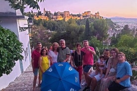 Visite guidée d'Albaicín, du Sacromonte et des points de vue