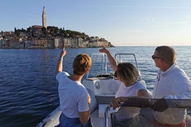 Rovinj: Sunset Speedboat Tour with Dolphin Watching