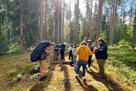 Pilzjagd in einem Nationalpark